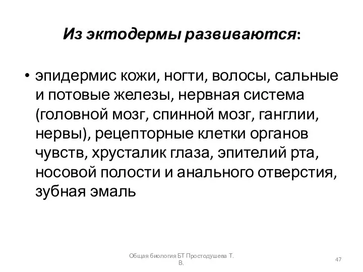 Из эктодермы развиваются: эпидермис кожи, ногти, волосы, сальные и потовые железы,