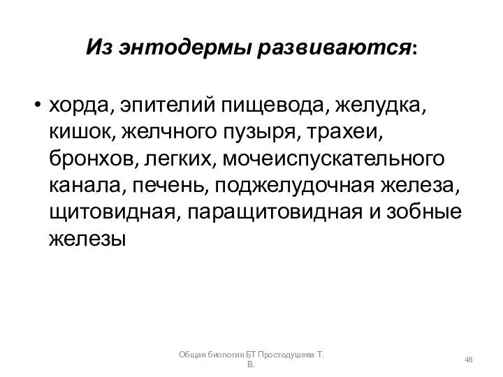 Из энтодермы развиваются: хорда, эпителий пищевода, желудка, кишок, желчного пузыря, трахеи,