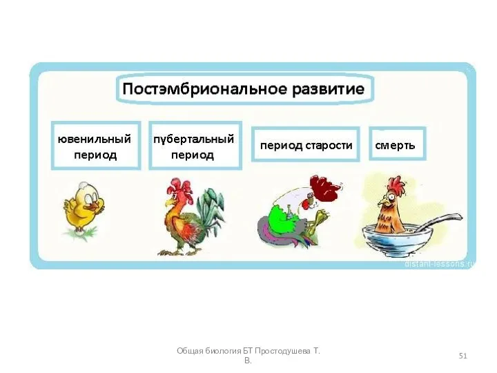 Общая биология БТ Простодушева Т.В.