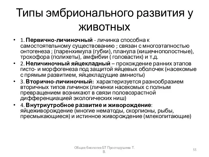 Типы эмбрионального развития у животных 1. Первично-личиночный - личинка способна к