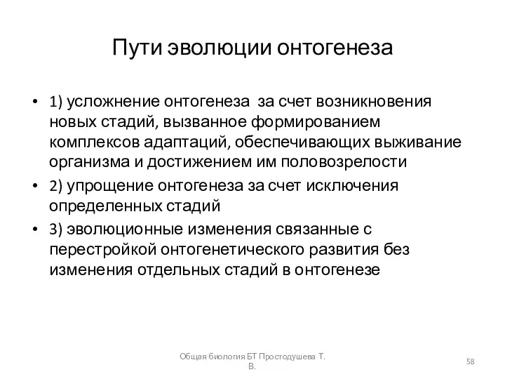 Пути эволюции онтогенеза 1) усложнение онтогенеза за счет возникновения новых стадий,