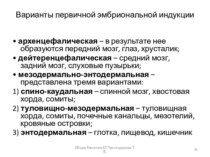 Варианты первичной эмбриональной индукции • архенцефалическая – в результате нее образуются