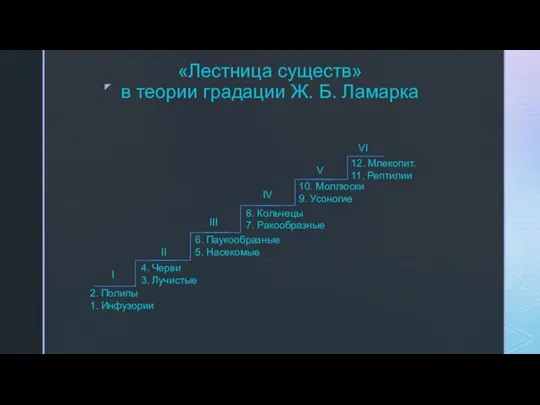 «Лестница существ» в теории градации Ж. Б. Ламарка II I III