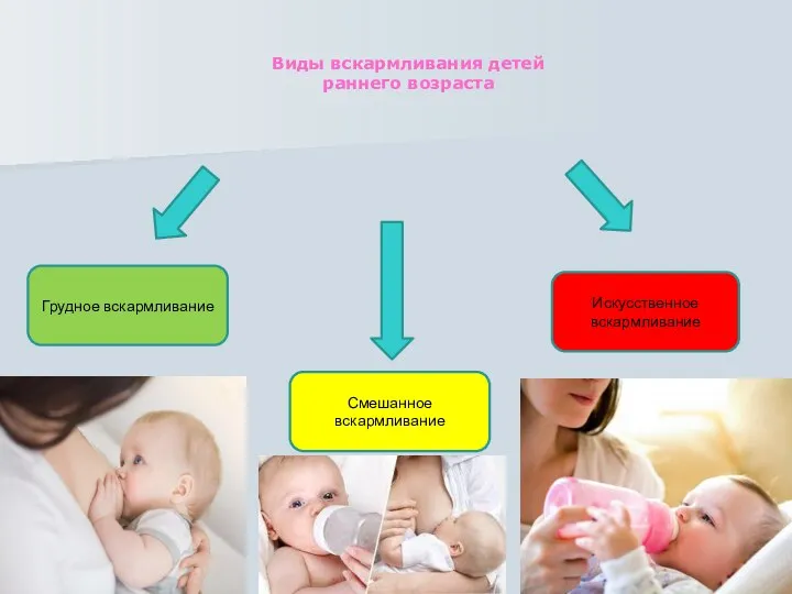 Виды вскармливания детей раннего возраста Грудное вскармливание Смешанное вскармливание Искусственное вскармливание