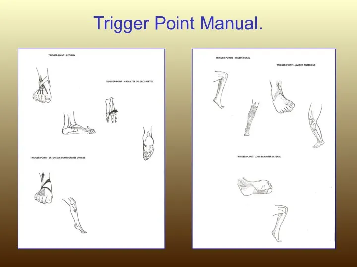 Trigger Point Manual.