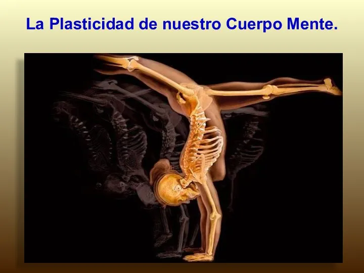 La Plasticidad de nuestro Cuerpo Mente.