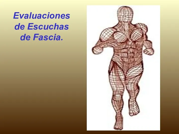 Evaluaciones de Escuchas de Fascia.