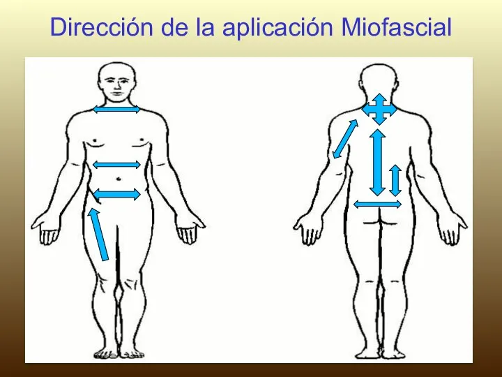 Dirección de la aplicación Miofascial