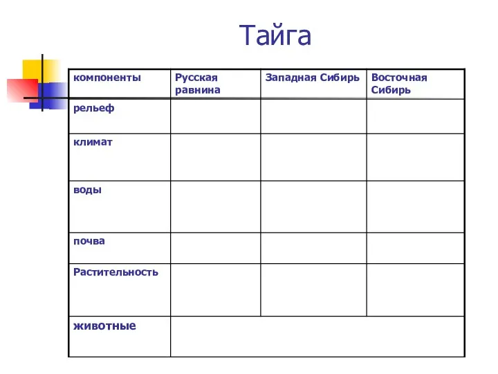 Тайга