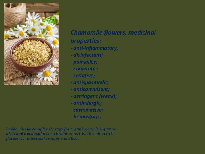 Chamomile flowers, medicinal properties: - anti-inflammatory; - disinfectant; - painkiller; -