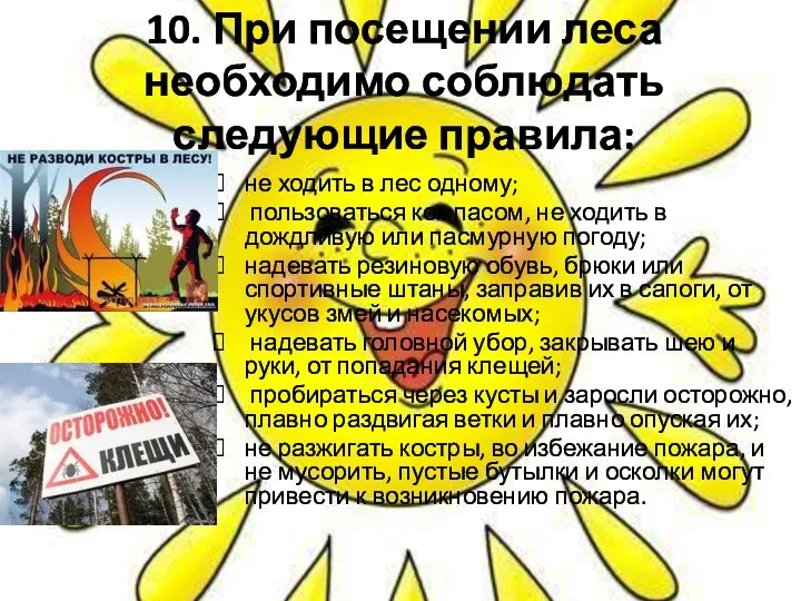 10. При посещении леса необходимо соблюдать следующие правила: не ходить в