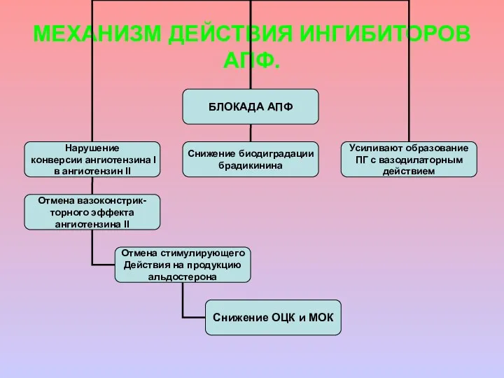 МЕХАНИЗМ ДЕЙСТВИЯ ИНГИБИТОРОВ АПФ.