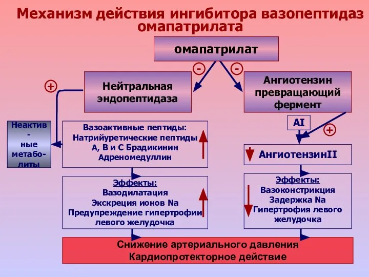 Механизм действия ингибитора вазопептидаз омапатрилата Снижение артериального давления Кардиопротекторное действие Нейтральная