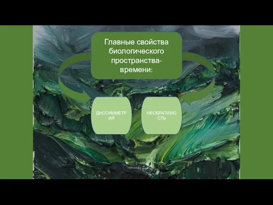 Главные свойства биологического пространства-времени: ДИССИММЕТРИЯ НЕОБРАТИМОСТЬ