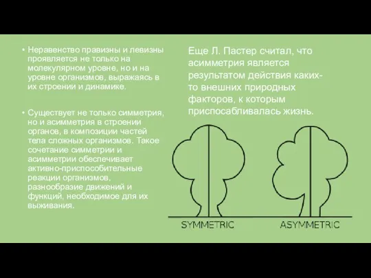 Неравенство правизны и левизны проявляется не только на молекулярном уровне, но