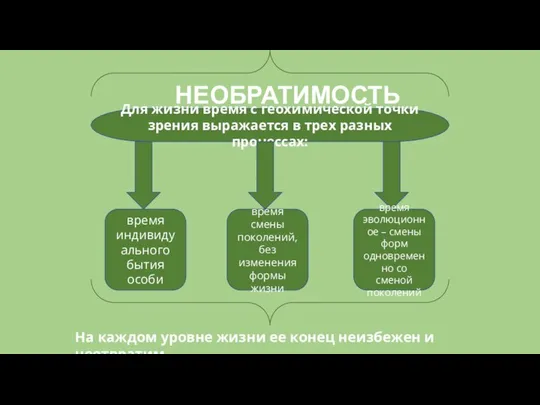 НЕОБРАТИМОСТЬ Для жизни время с геохимической точки зрения выражается в трех