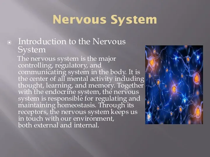 Nervous System Introduction to the Nervous System The nervous system is