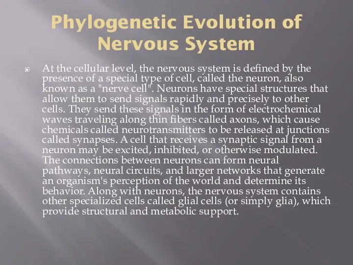 Phylogenetic Evolution of Nervous System At the cellular level, the nervous