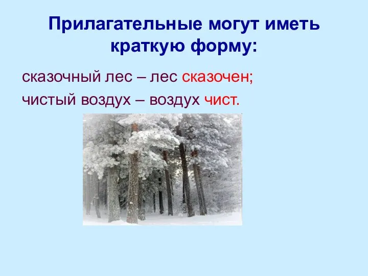 Прилагательные могут иметь краткую форму: сказочный лес – лес сказочен; чистый воздух – воздух чист.