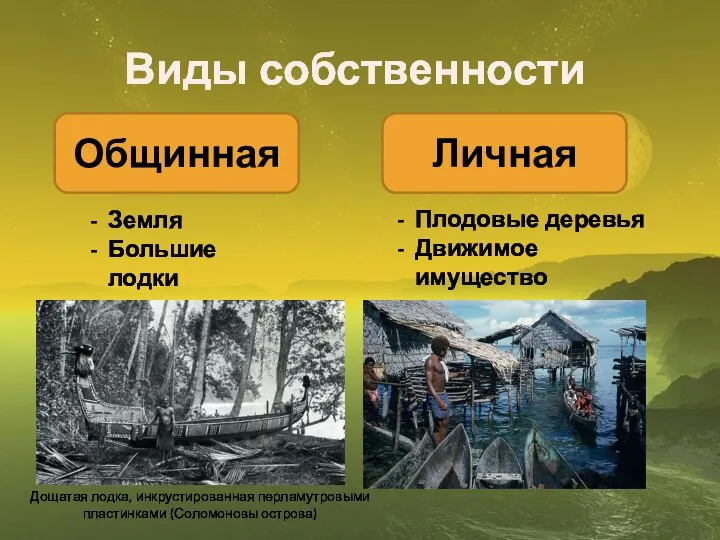 Виды собственности Общинная Личная Земля Большие лодки Плодовые деревья Движимое имущество