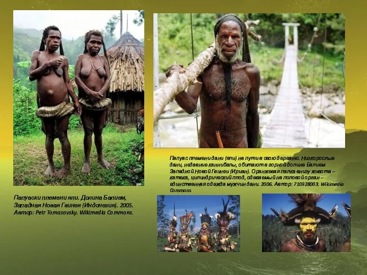 Папуаски племени яли. Долина Балием, Западная Новая Гвинея (Индонезия). 2005. Автор: