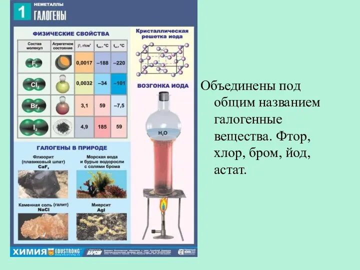 Объединены под общим названием галогенные вещества. Фтор, хлор, бром, йод, астат.