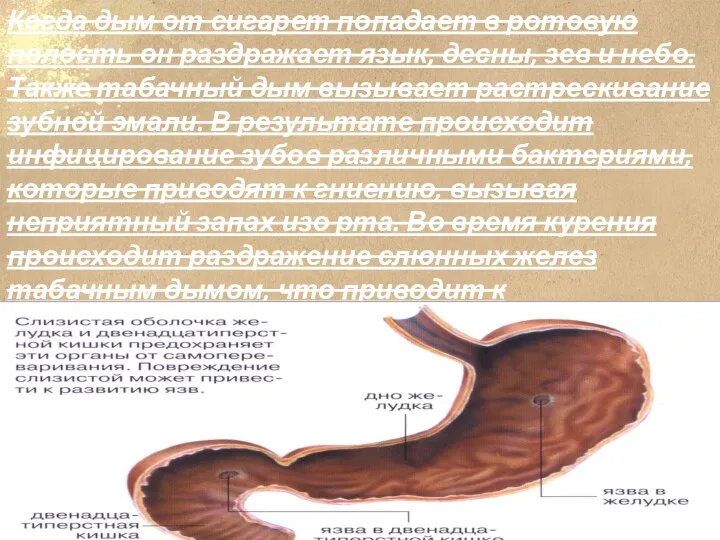 Когда дым от сигарет попадает в ротовую полость он раздражает язык,