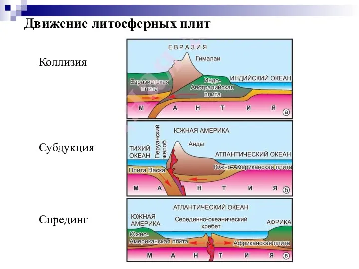 Движение литосферных плит Коллизия Субдукция Спрединг