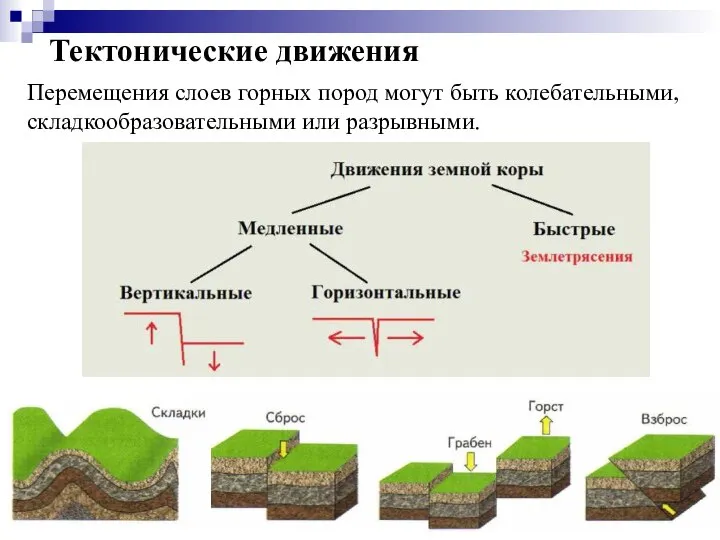 Перемещения слоев горных пород могут быть колебательными, складкообразовательными или разрывными. Тектонические движения