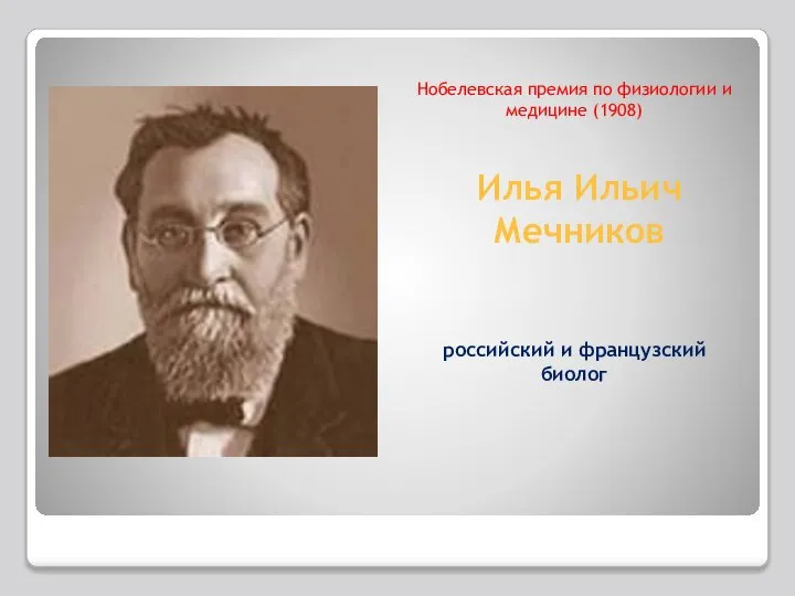 Илья Ильич Мечников Нобелевская премия по физиологии и медицине (1908) российский и французский биолог