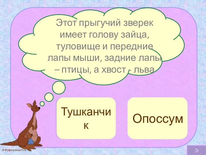 Этот прыгучий зверек имеет голову зайца, туловище и передние лапы мыши,