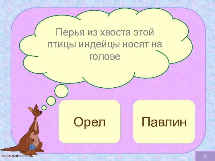 Перья из хвоста этой птицы индейцы носят на голове Орел Ой! Павлин