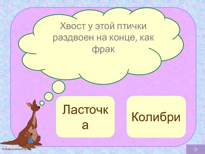 Хвост у этой птички раздвоен на конце, как фрак Ласточка Ой! Колибри