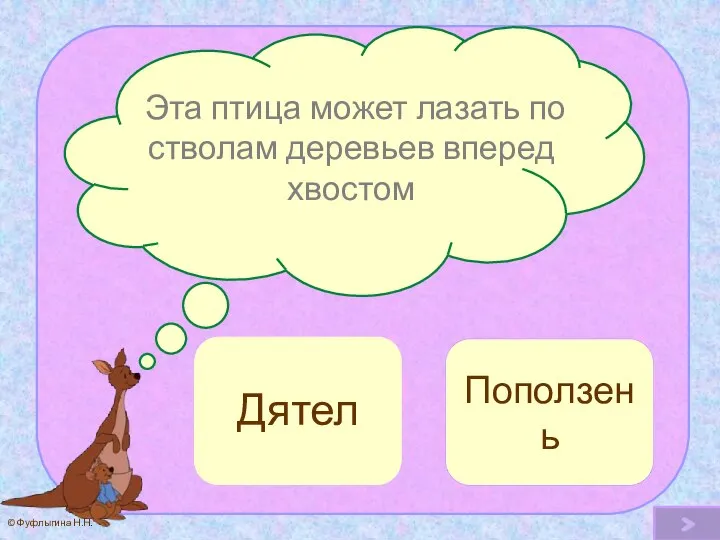 Эта птица может лазать по стволам деревьев вперед хвостом Поползень Ой! Дятел