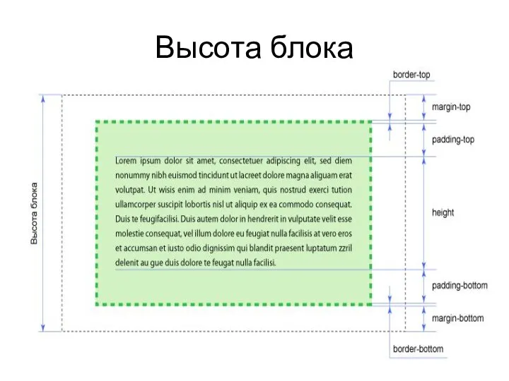 Высота блока