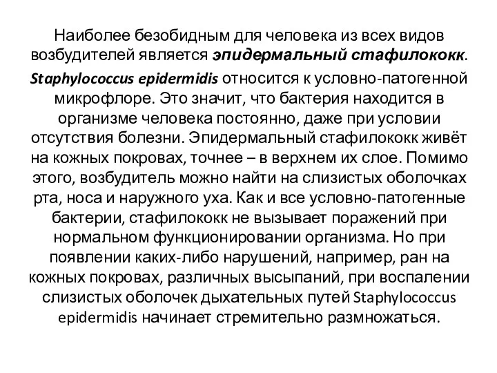 Наиболее безобидным для человека из всех видов возбудителей является эпидермальный стафилококк.