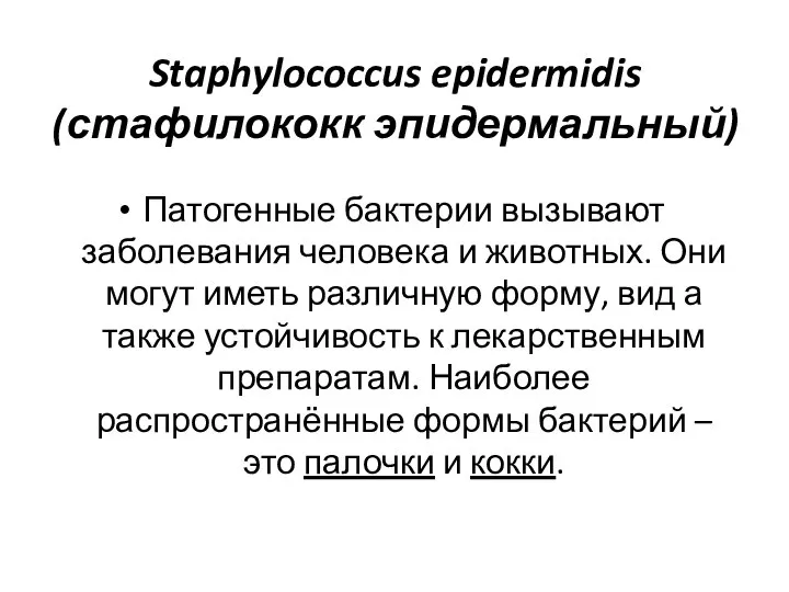 Staphylococcus epidermidis (стафилококк эпидермальный) Патогенные бактерии вызывают заболевания человека и животных.