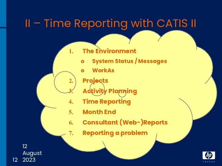 12 August 2023 II – Time Reporting with CATIS II The