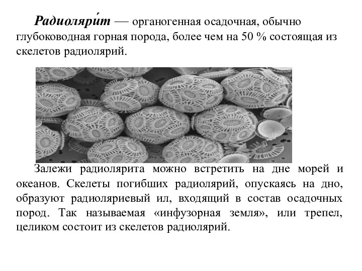 Радиоляри́т — органогенная осадочная, обычно глубоководная горная порода, более чем на