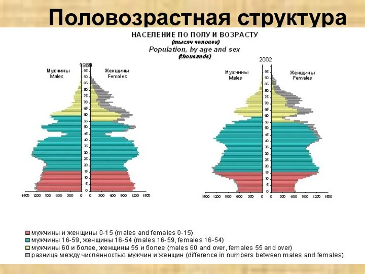 Половозрастная структура Мальчиков рождается чуть больше, чем девочек (на 100 девочек