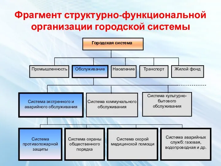 Фрагмент структурно-функциональной организации городской системы