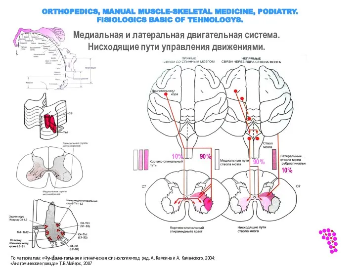 ORTHOPEDICS, MANUAL MUSCLE-SKELETAL MEDICINE, PODIATRY. FISIOLOGICS BASIC OF TEHNOLOGYS. Медиальная и