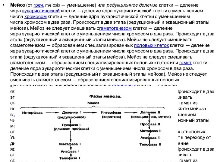 Мейоз (от греч. meiosis — уменьшение) или редукционное деление клетки —