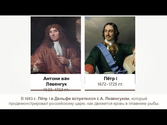 Антони ван Левенгук 1632–1723 гг. Пётр I 1672–1725 гг. В 1693