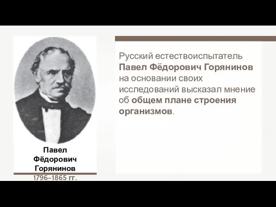 Павел Фёдорович Горянинов 1796–1865 гг. Русский естествоиспытатель Павел Фёдорович Горянинов на