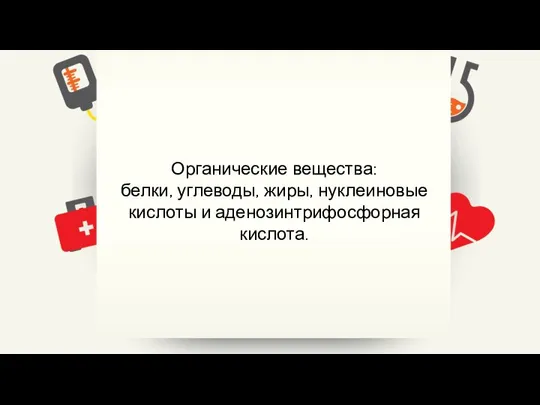 Органические вещества: белки, углеводы, жиры, нуклеиновые кислоты и аденозинтрифосфорная кислота.