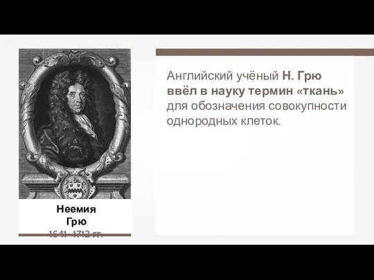 Неемия Грю 1641–1712 гг. Английский учёный Н. Грю ввёл в науку