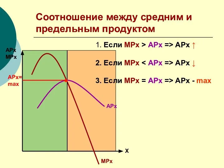 Соотношение между средним и предельным продуктом АРх МРх Х АРх МРх