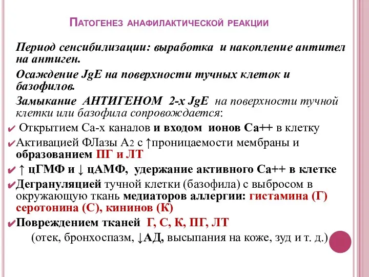 Патогенез анафилактической реакции Период сенсибилизации: выработка и накопление антител на антиген.