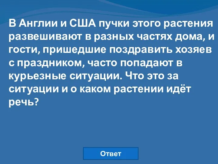 В Англии и США пучки этого растения развешивают в разных частях